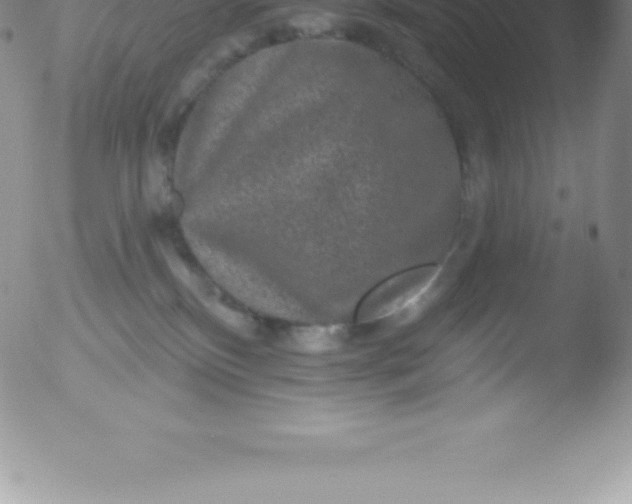 X0000051890136200507081948