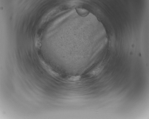 X0000051890138200507081948