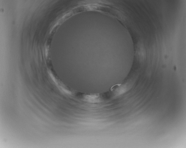 X0000051890139200507081948