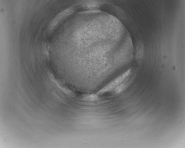 X0000051890140200507081948