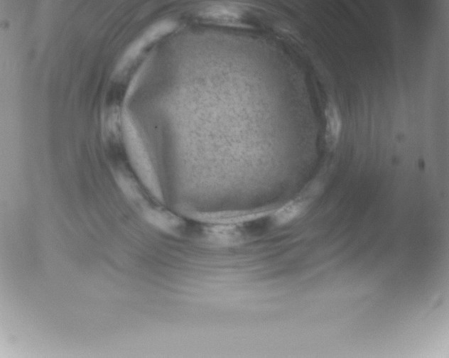 X0000051890141200507081948