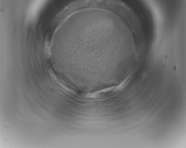 X0000051890142200507081948