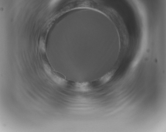 X0000051890143200507081948