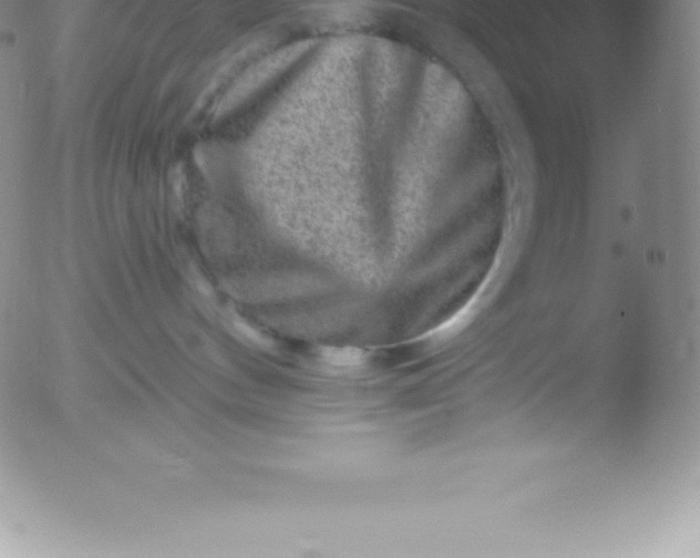 X0000051890144200507081948