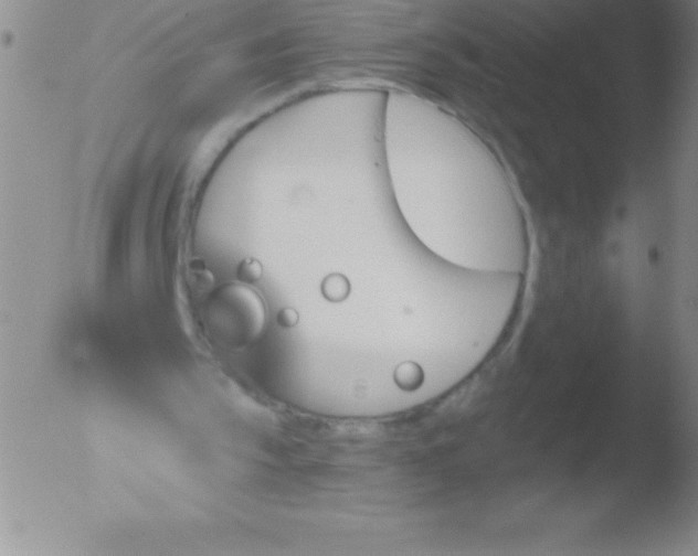 X0000051890145200507081947