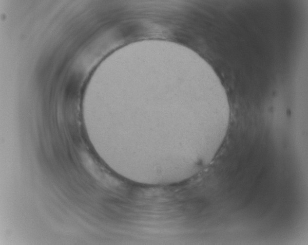 X0000051890146200507081947