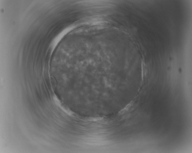 X0000051890147200507081947