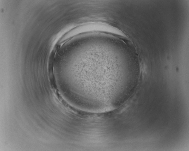 X0000051890148200507081947