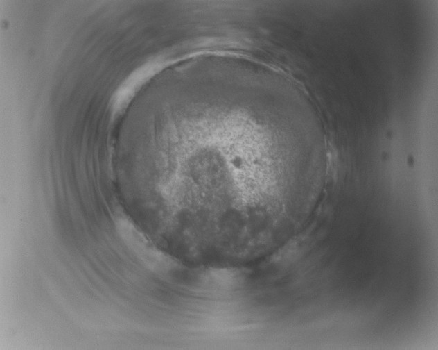 X0000051890149200507081947