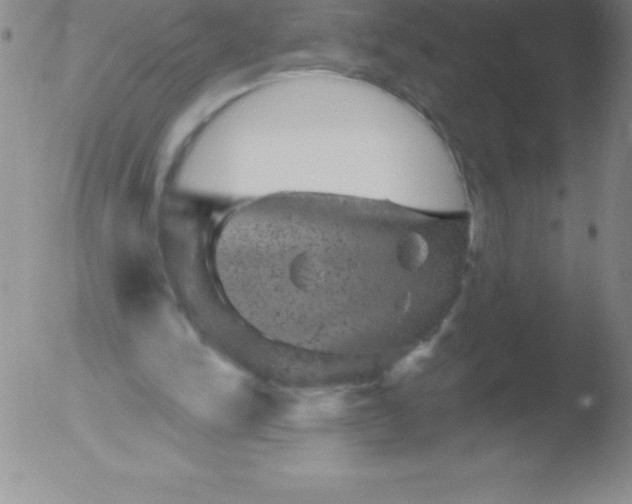 X0000051890150200507081947