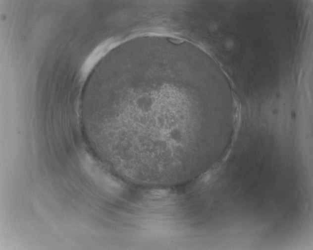 X0000051890151200507081947