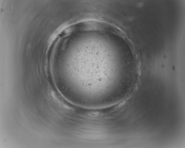 X0000051890152200507081947