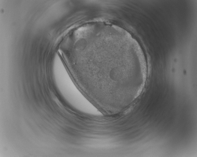 X0000051890154200507081947