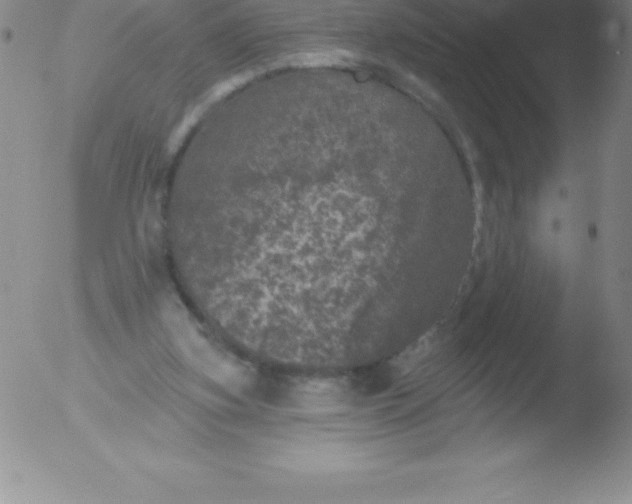 X0000051890155200507081947