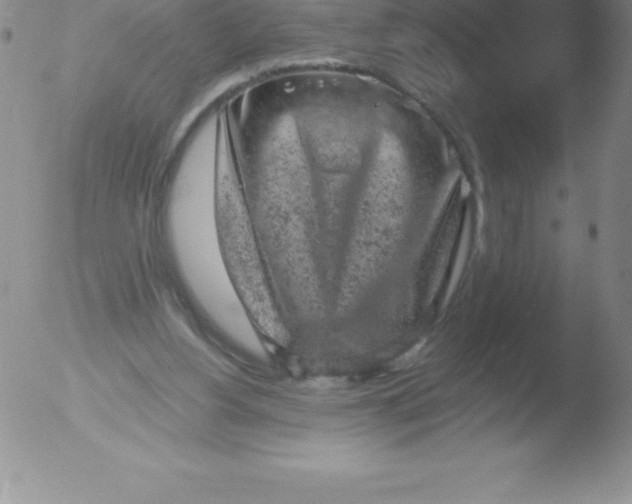 X0000051890156200507081947