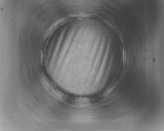 X0000051890157200507081947