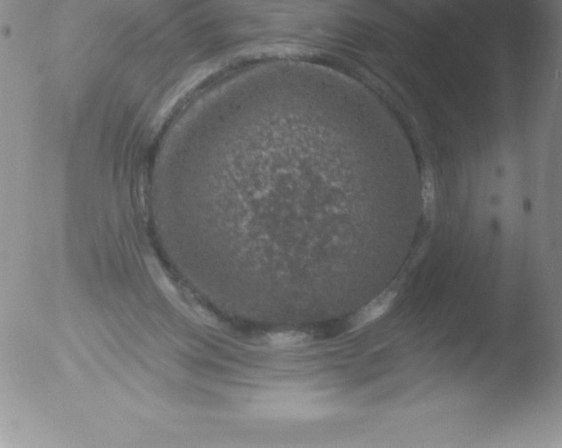 X0000051890158200507081947