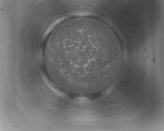 X0000051890159200507081947