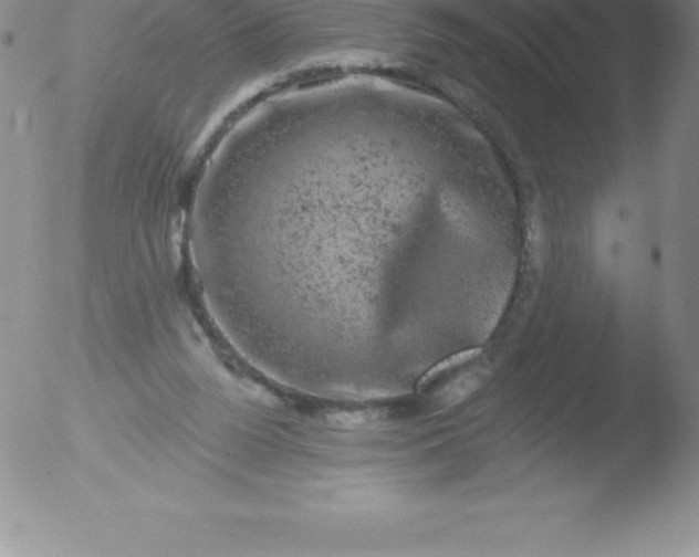 X0000051890160200507081947