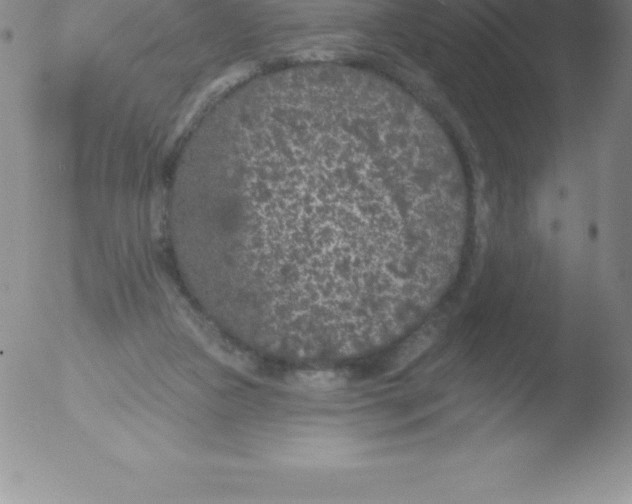 X0000051890161200507081948