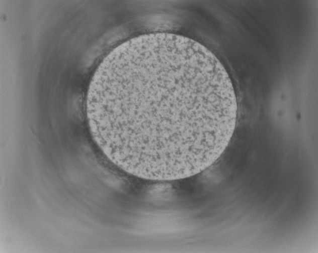 X0000051890162200507081948