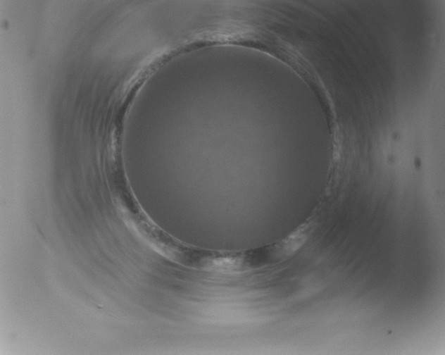 X0000051890163200507081948