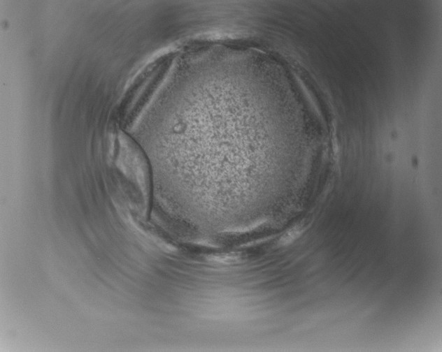 X0000051890164200507081948