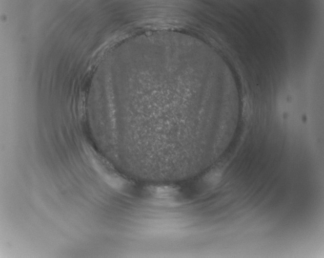 X0000051890165200507081948