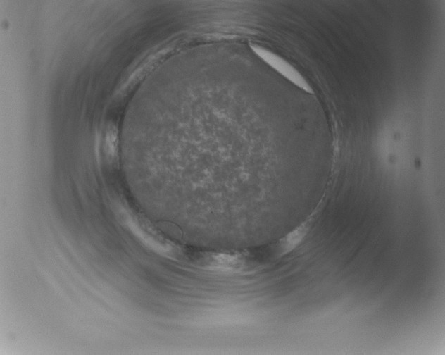 X0000051890166200507081948