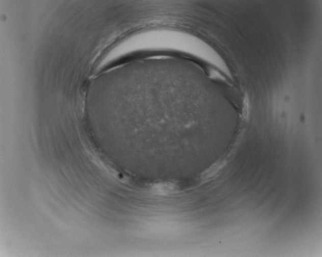 X0000051890168200507081948