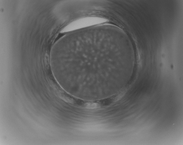 X0000051890169200507081948