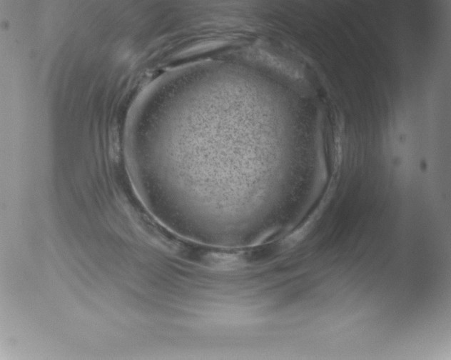 X0000051890170200507081948