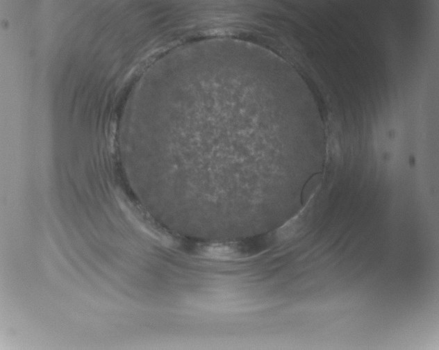 X0000051890171200507081948