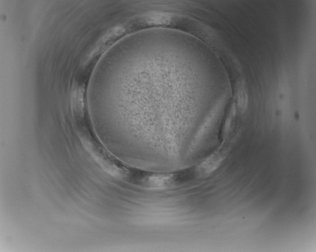 X0000051890172200507081948