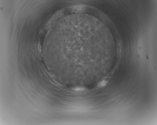 X0000051890173200507081948