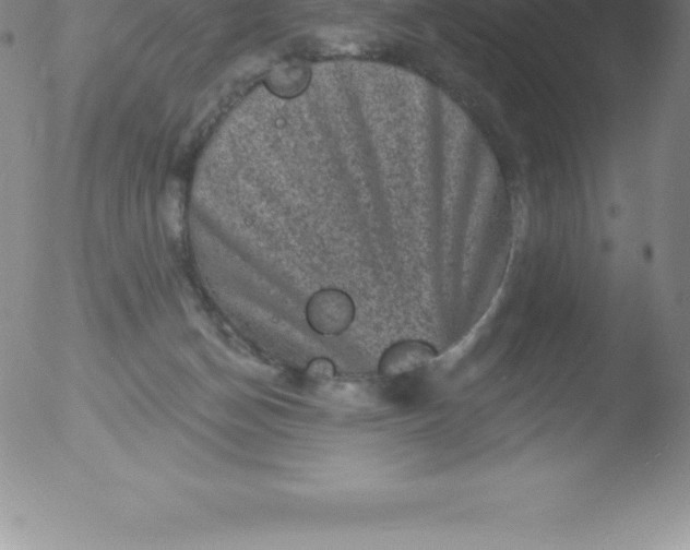 X0000051890174200507081948