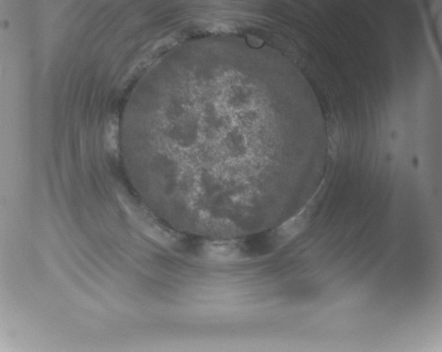 X0000051890175200507081948