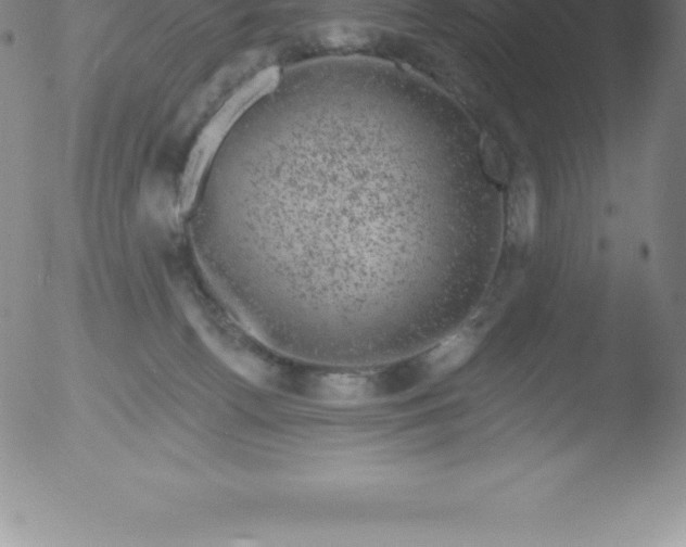 X0000051890176200507081948