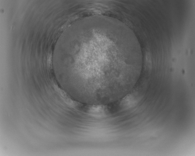 X0000051890177200507081948