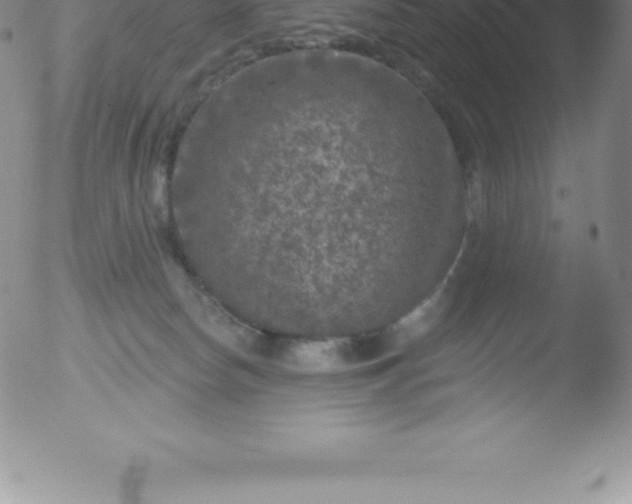 X0000051890178200507081948