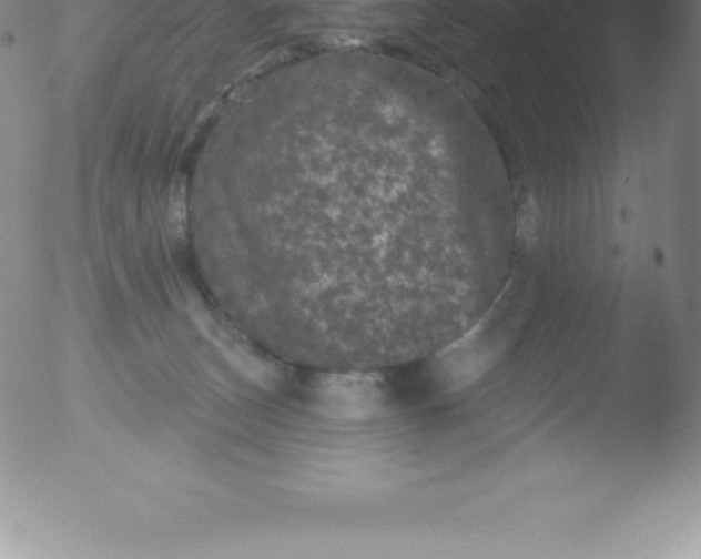 X0000051890179200507081948