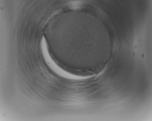 X0000051890180200507081948