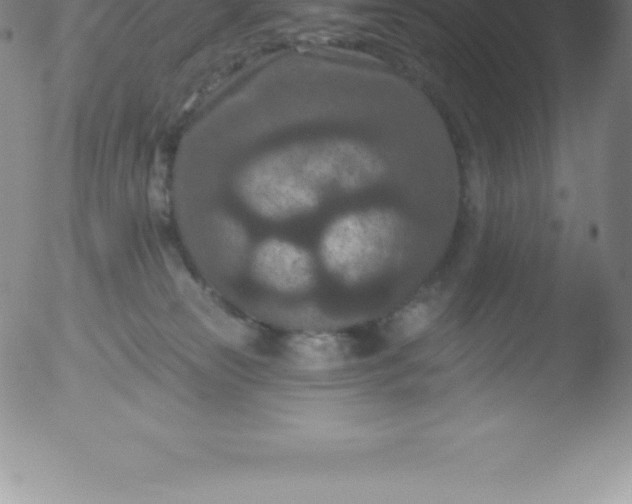 X0000051890181200507081948