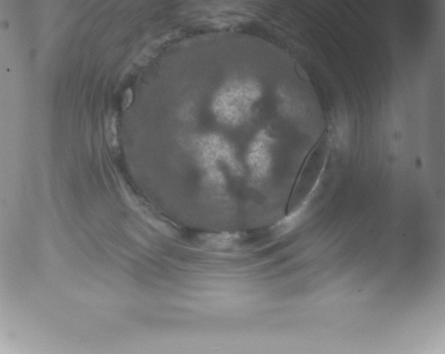 X0000051890182200507081948