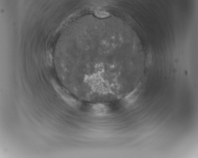 X0000051890183200507081948