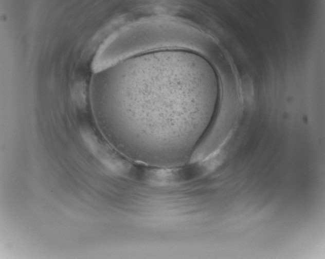 X0000051890184200507081948