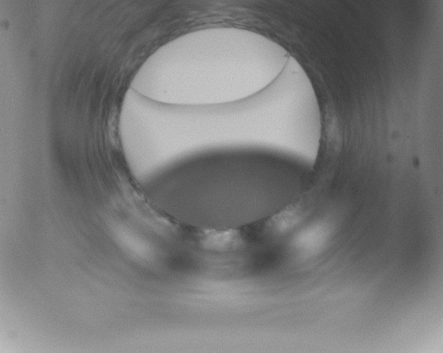 X0000051890185200507081948