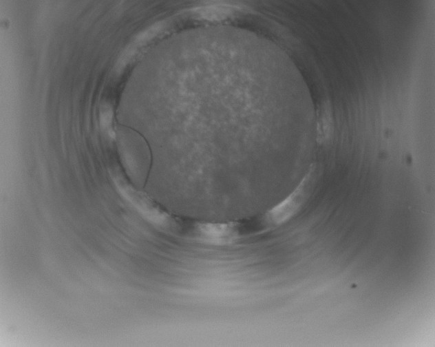 X0000051890187200507081948