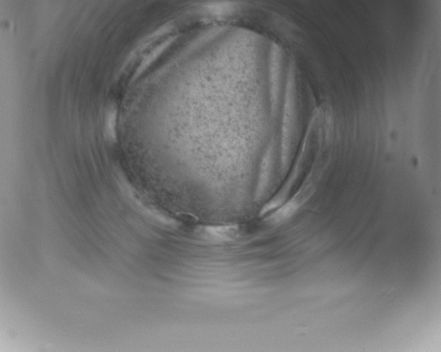 X0000051890188200507081948