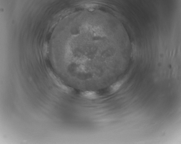 X0000051890189200507081948